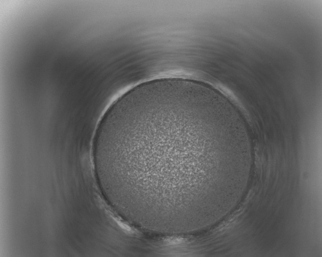 X0000068301230200604281701