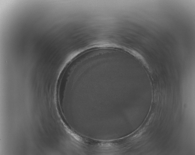 X0000068301231200604281701