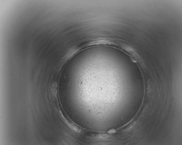 X0000068301233200604281701