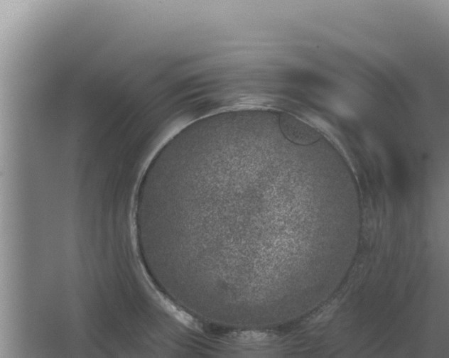 X0000068301235200604281701