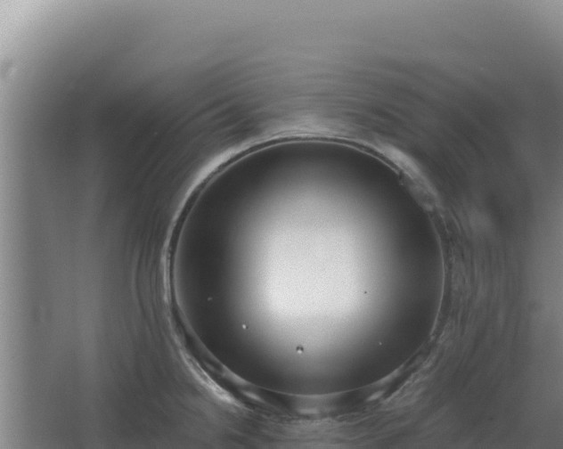 X0000068301238200604281701