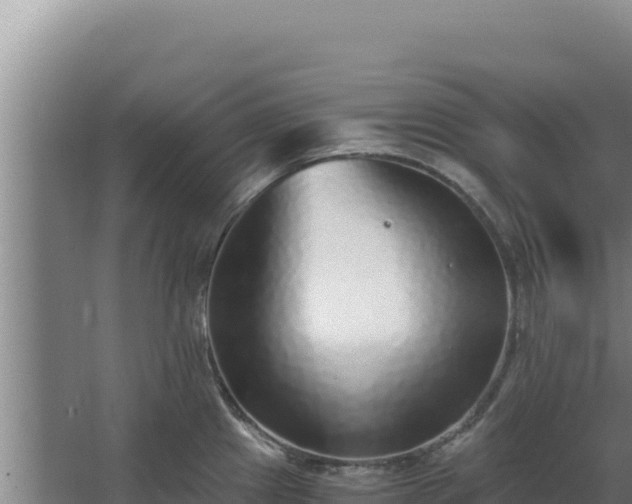 X0000068301241200604281701