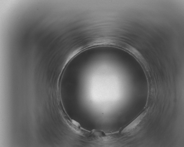 X0000068301242200604281701