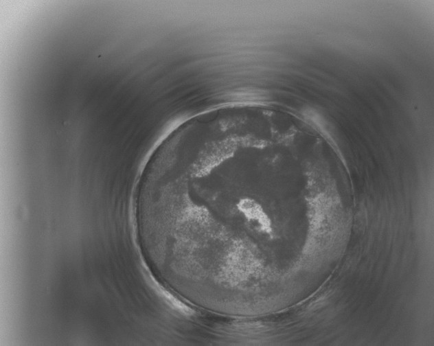 X0000068301243200604281701