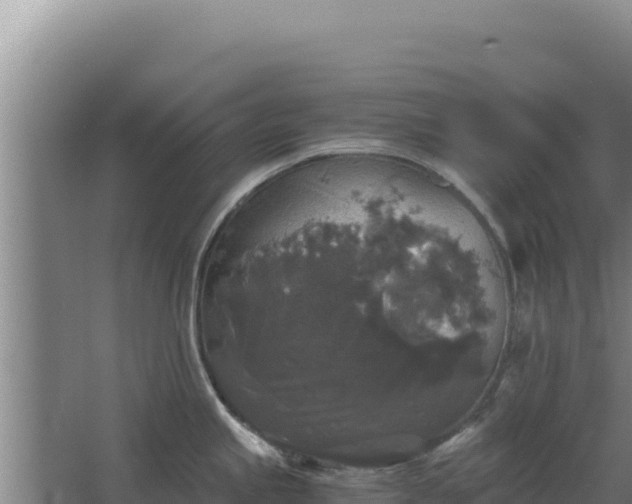 X0000068301245200604281701