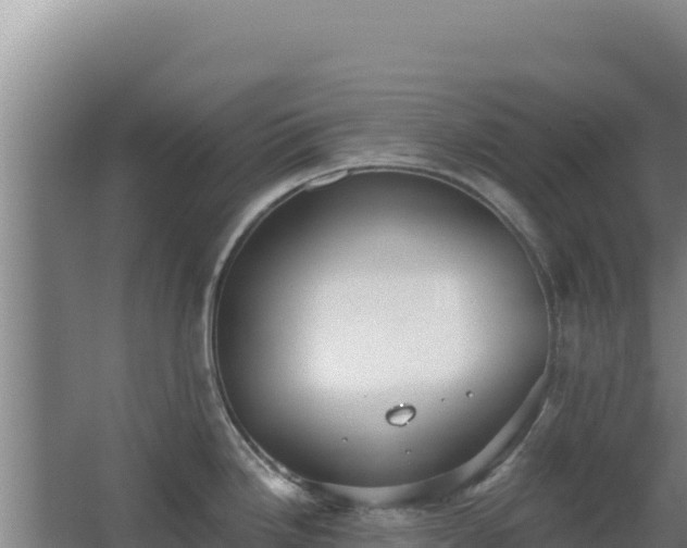 X0000068301246200604281701