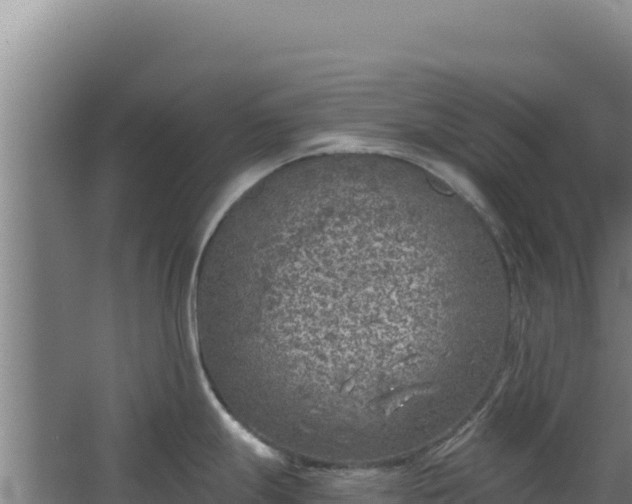 X0000068301247200604281701