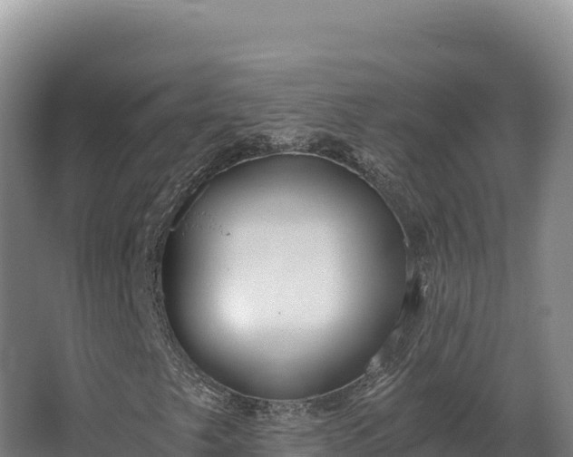 X0000068301249200604281700