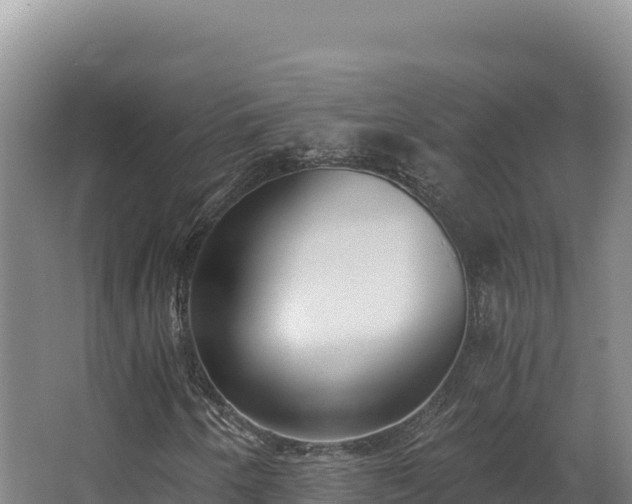 X0000068301250200604281700