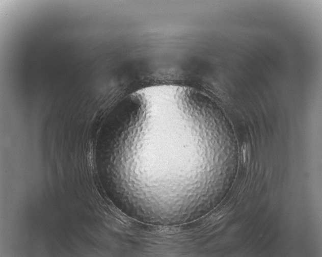 X0000068301251200604281700