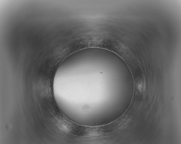 X0000068301252200604281700