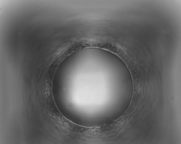 X0000068301253200604281700