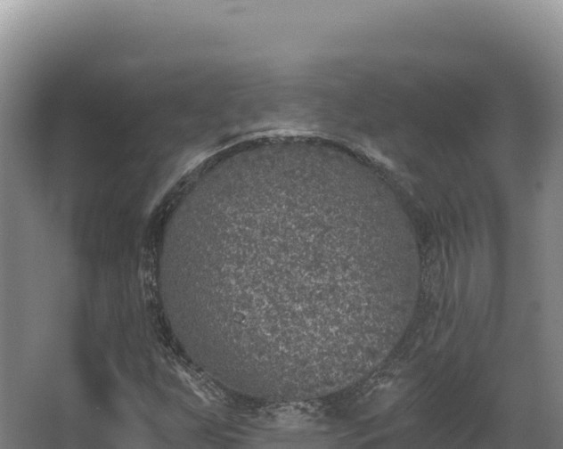 X0000068301255200604281700