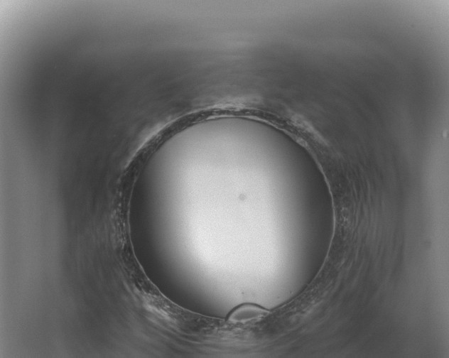 X0000068301256200604281700