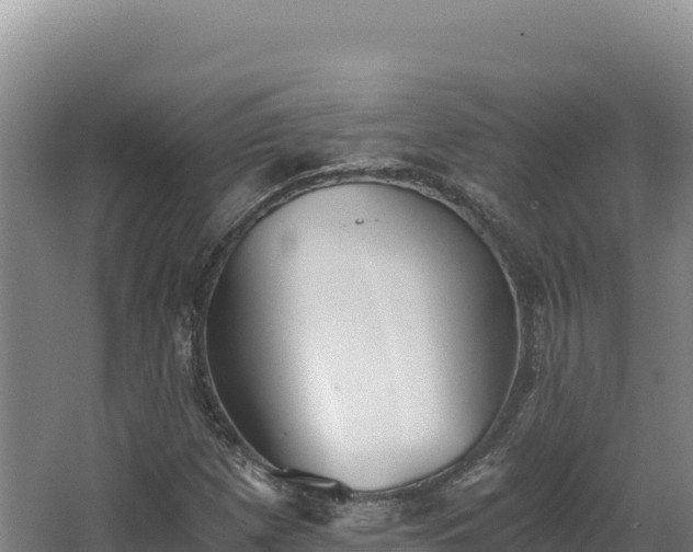 X0000068301257200604281700