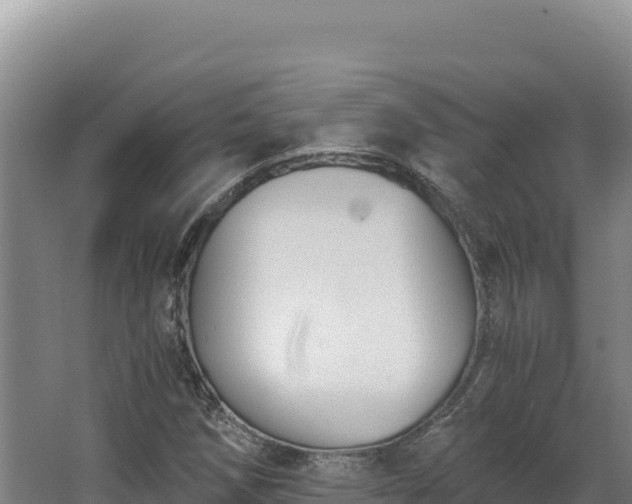 X0000068301258200604281700