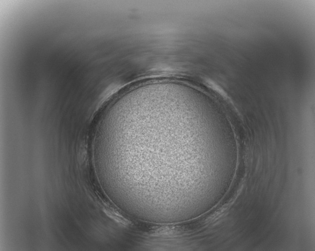 X0000068301259200604281700