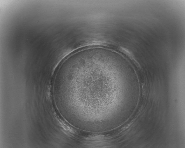 X0000068301260200604281700