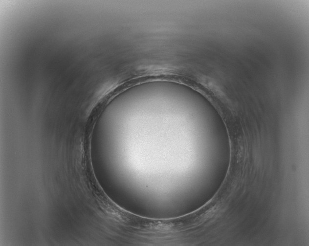 X0000068301261200604281700