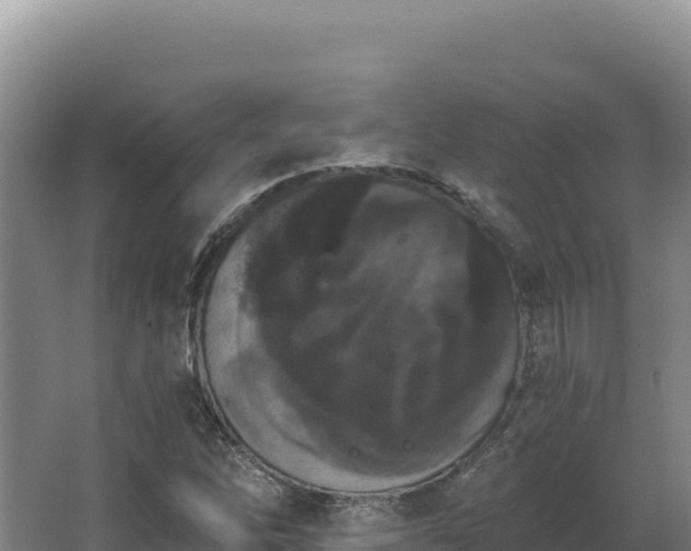 X0000068301262200604281700