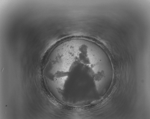 X0000068301263200604281700