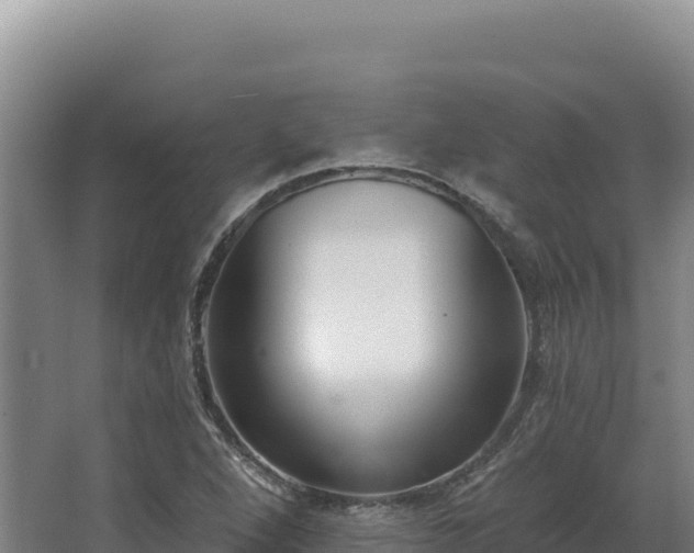 X0000068301264200604281700