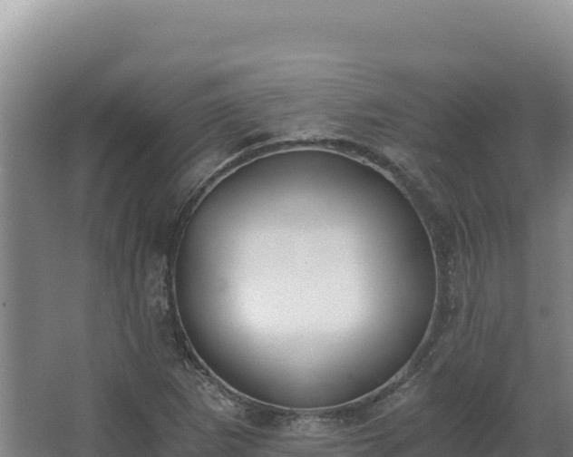 X0000068301265200604281700