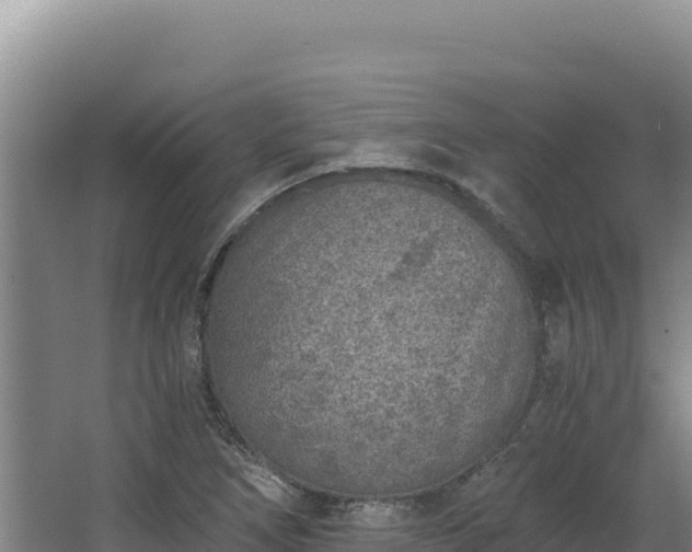 X0000068301266200604281700