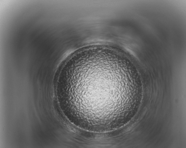 X0000068301267200604281700