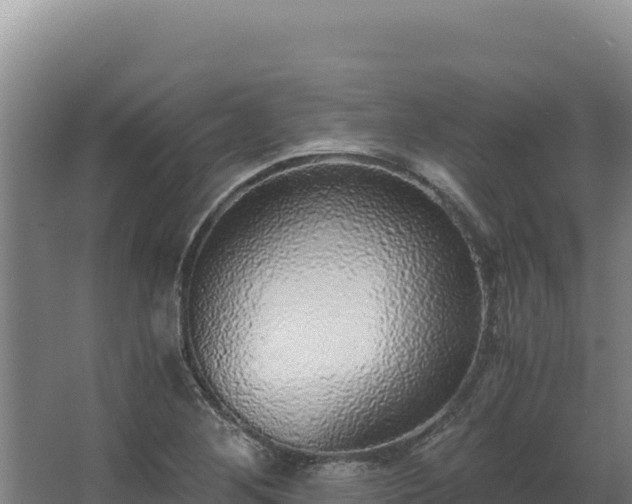 X0000068301268200604281700