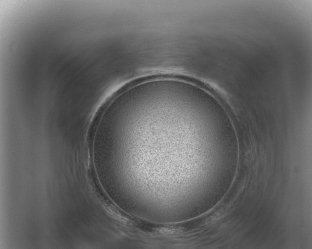 X0000068301271200604281700