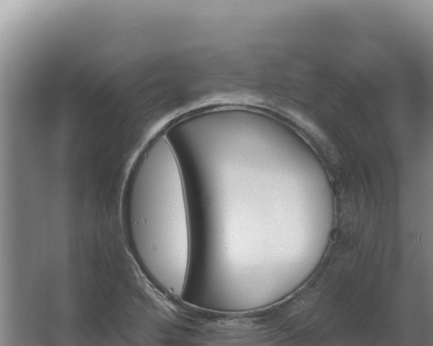 X0000068301272200604281700