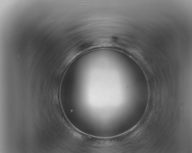 X0000068301273200604281700