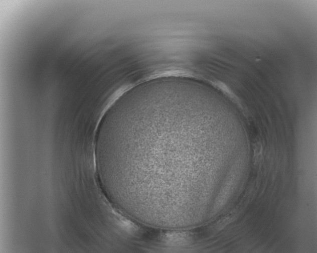 X0000068301274200604281700