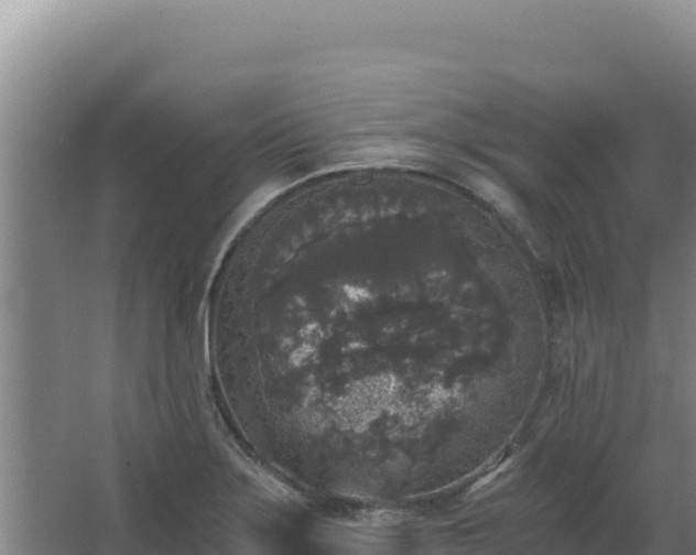 X0000068301275200604281700