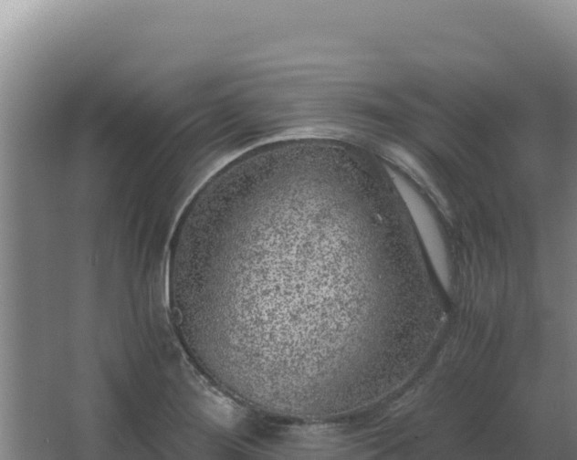 X0000068301276200604281700