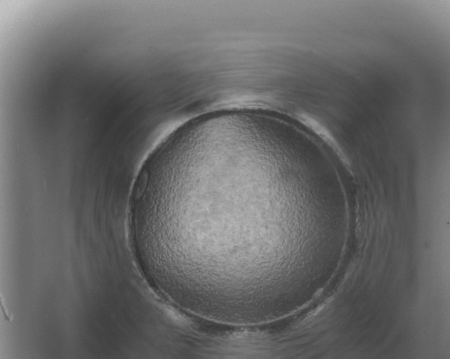 X0000068301277200604281700