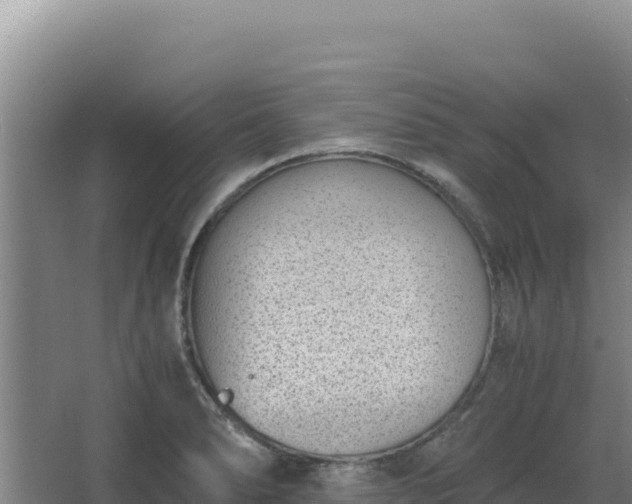 X0000068301278200604281700