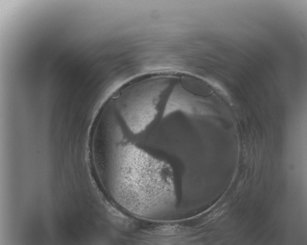 X0000068301279200604281700