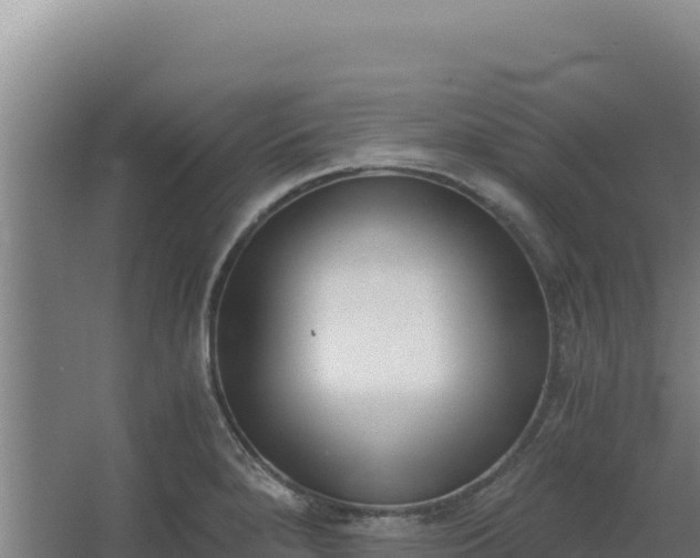 X0000068301280200604281700