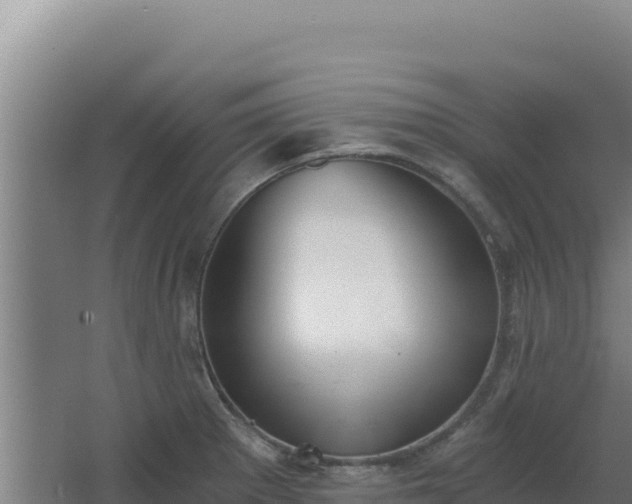 X0000068301281200604281700