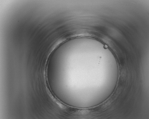 X0000068301282200604281700