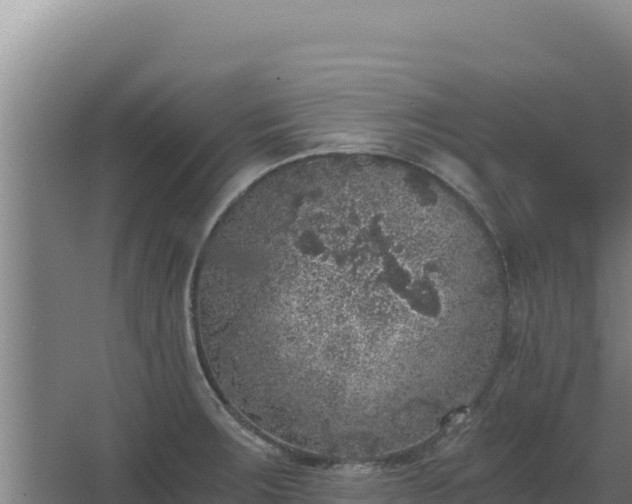 X0000068301283200604281700