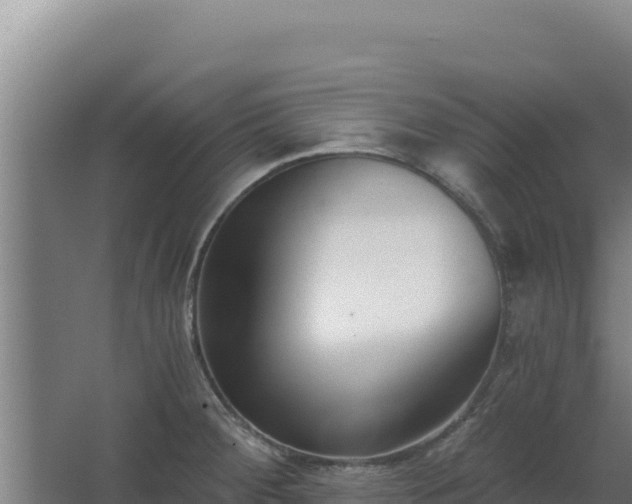 X0000068301284200604281700