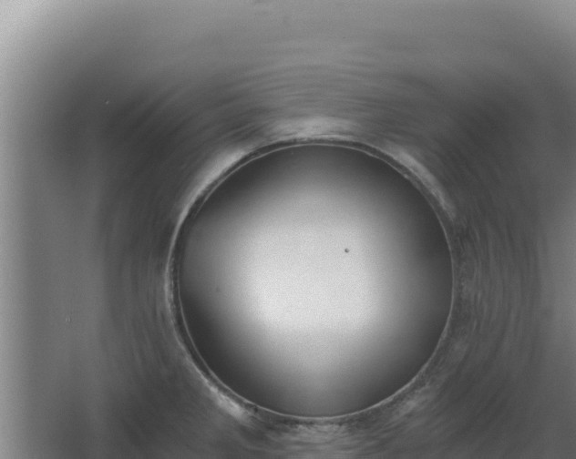 X0000068301285200604281700