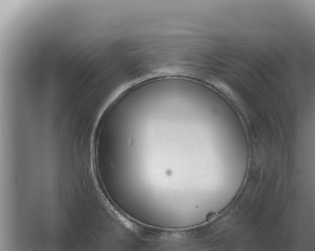 X0000068301286200604281700