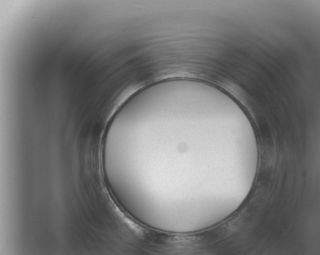 X0000068301290200604281700