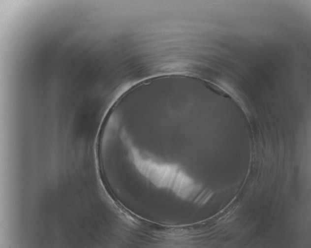 X0000068301291200604281700