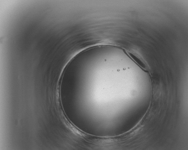 X0000068301292200604281700