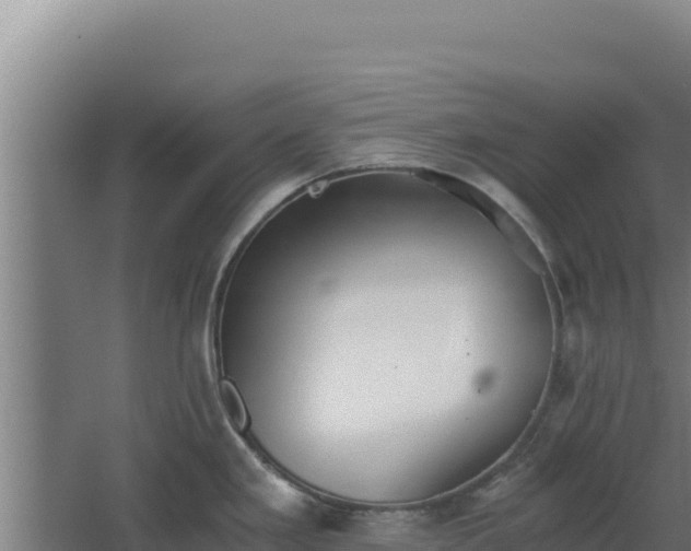 X0000068301293200604281700